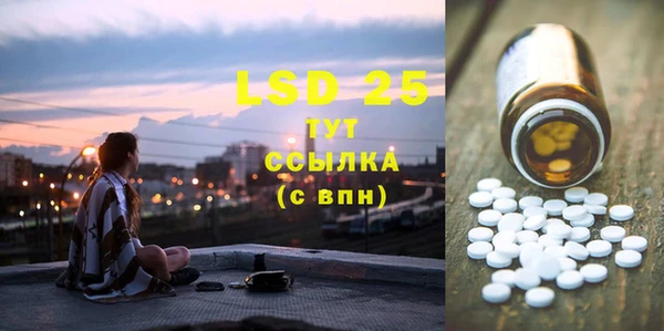 ГАЛЛЮЦИНОГЕННЫЕ ГРИБЫ Инта