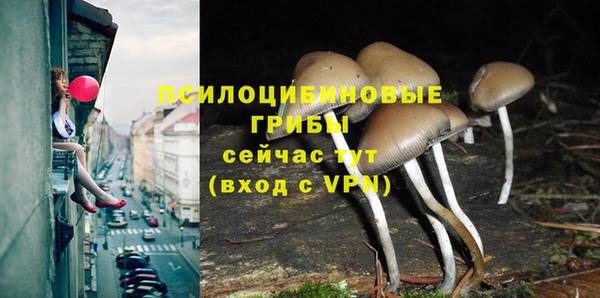 гашиш Каменка