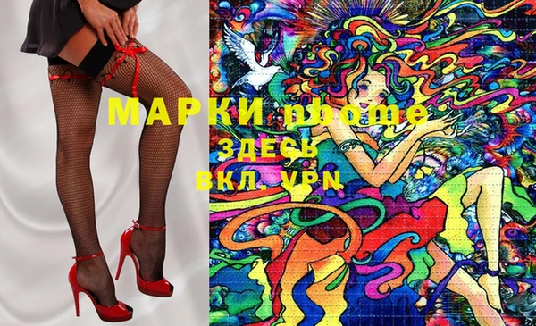 ГАЛЛЮЦИНОГЕННЫЕ ГРИБЫ Инта