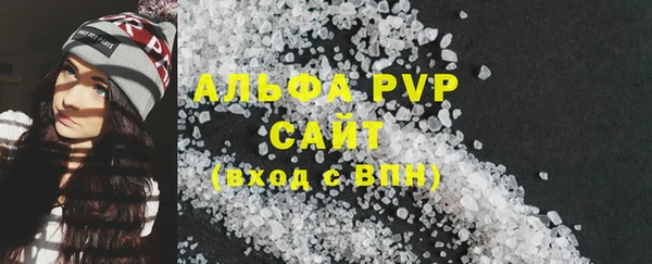 PSILOCYBIN Иннополис