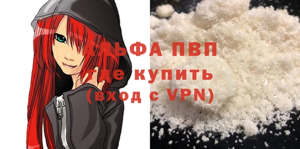 ГАЛЛЮЦИНОГЕННЫЕ ГРИБЫ Инта
