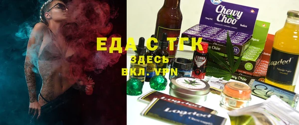 ГАЛЛЮЦИНОГЕННЫЕ ГРИБЫ Инта
