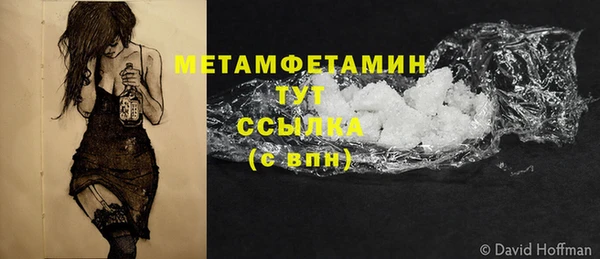 ГАЛЛЮЦИНОГЕННЫЕ ГРИБЫ Инта