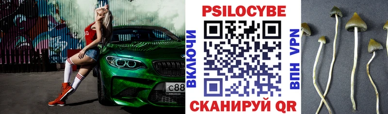 Псилоцибиновые грибы Psilocybe  Купить  Богданович 