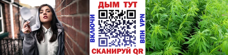 Бошки Шишки White Widow  Купить закладки  Богданович 